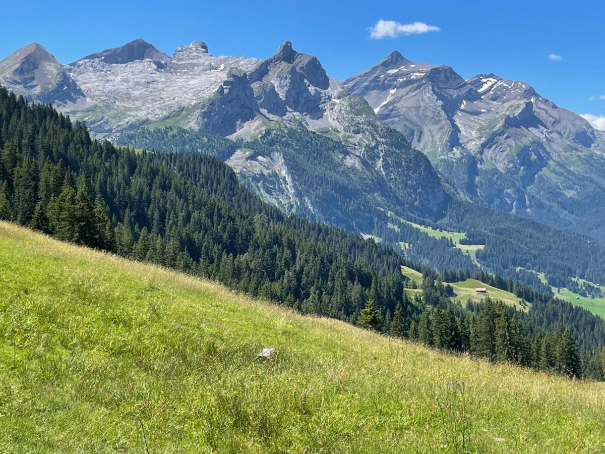 Bed and Breakfast Alpen Charme - Chalet D'Hotes Et Spa Гштайг Экстерьер фото